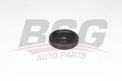 BSG 15501001 Devirdaim Kasnağı