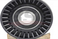 BSG 60615013 V Kayış Gergi Rulmanı
