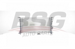 BSG 75520005 Su Radyatörü