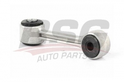 BSG 15310055 Viraj Askı Rotu Arka