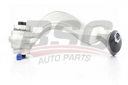 BSG 60310133 Rotilli Kol Üst Sol