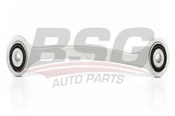 BSG 60310050 Salıncak Arka