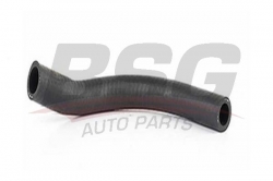 BSG 65720086 Motor Havalandırma Hortumu