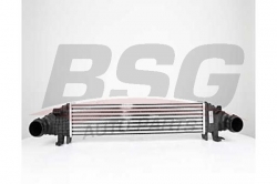BSG 60535009 Turbo Radyatörü