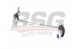 BSG 15310087 Viraj Askı Rotu Ön Sağ