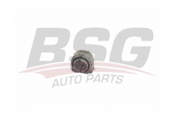 BSG 90700192 Viraj Demir Lastiği Arka