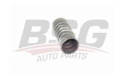 BSG 30720248 Turbo Hortumu