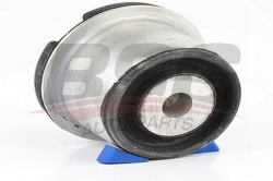 BSG 65700089 Dingil Burcu Arka