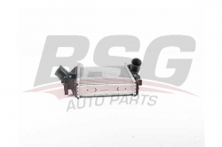 BSG 60535014 Turbo Radyatörü