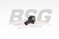 BSG 90126041 Termostat