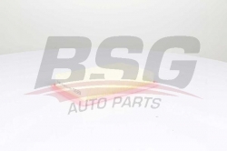 BSG 60135031 Hava Filtresi