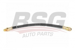 BSG 70730009 Fren Hortumu Ön