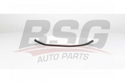 BSG 60145004 Polen Filtresi