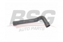 BSG 15720029 Radyatör Hortumu Alt