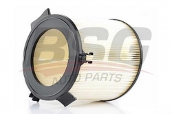 BSG 90145003 Polen Filtresi