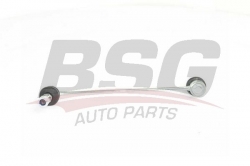BSG 40310096 Viraj Askı Rotu Ön