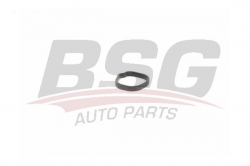 BSG 65720162 Termostat Gövde Contası