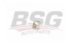 BSG 90125002 Termostat