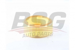 BSG 75135006 Hava Filtresi