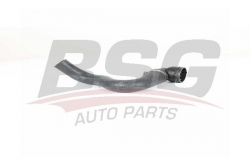 BSG 65720194 Radyatör Hortumu Alt