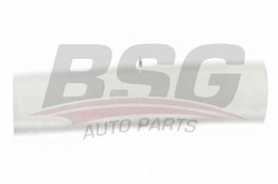 BSG 65924022 Kapı Bandı Ön Sağ