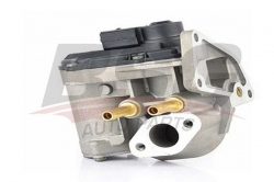 BSG 90836009 Egr Valfi