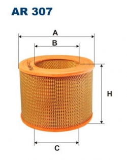 FILTRON AR307 Hava Filtresi
