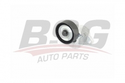 BSG 65615041 V Kayış Gergi Rulmanı