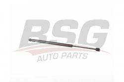 BSG 40980062 Bagaj Amortisörü
