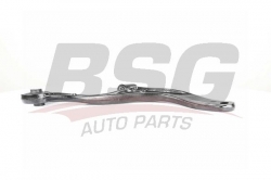 BSG 75315001 Salıncak Ön Sağ