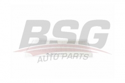 BSG 40145014 Polen Filtresi