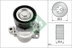 INA 534062510 V Kayış Gergisi Komple