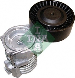 INA 534029610 V Kayış Gergisi Komple