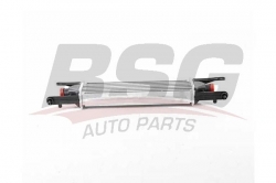 BSG 25535008 Turbo Radyatörü