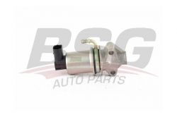 BSG 90836002 Egr Valfi