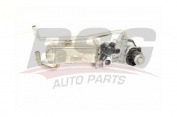 BSG 90836019 Egr Valfi