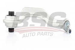 BSG 60310134 Rotilli Kol Sağ