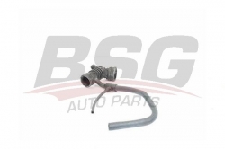 BSG 25720010 Hava Filtre Hortumu