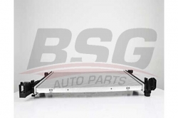BSG 60520048 Su Radyatörü