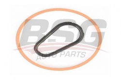 BSG 30235008 Vakum Pompa Oring Takımı