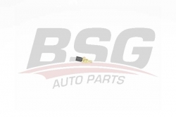 BSG 60840013 Hararet Müşürü