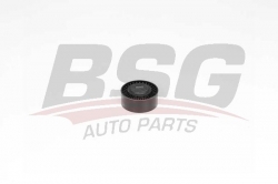 BSG 90615052 V Kayış Gergi Rulmanı