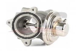 BSG 90836014 Egr Valfi