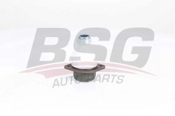 BSG 15310182 Rotil Alt
