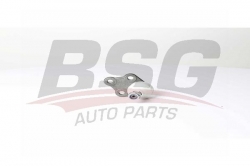 BSG 60310289 Rotil Alt