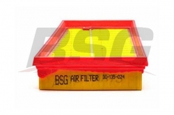 BSG 30135024 Hava Filtresi