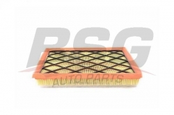 BSG 65135020 Hava Filtresi