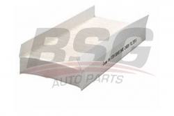 BSG 30145003 Polen Filtresi