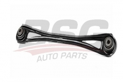 BSG 90315067 Rotilli Kol Arka