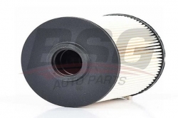 BSG 60130006 Yakıt Filtresi